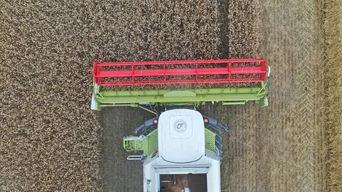 Tresking av korn hos Jørgen Thorshov i Enebakk sett fra luften.