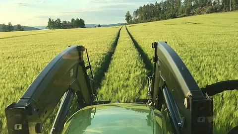 Utsikt fra traktor under plantevern i grønn kornåker ved Øyeren.