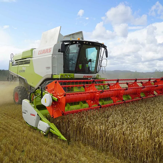 Høsting av korn med skurtresker på jorde i Enebakk.